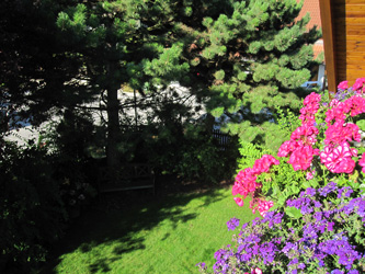 Blick auf den Garten im Gästehaus Helma Klinglhuber
